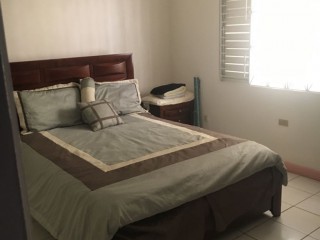 55 Lady Musgrave Avenue, Kingston / St. Andrew, Jamaica - Apartment for Lease/rental